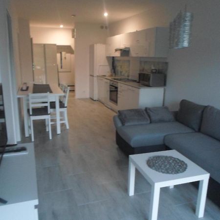 דירות שצ'קלארסקה פוראובה Apartament Szklarka W Karkonoszach מראה חיצוני תמונה